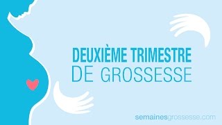 Deuxième Trimestre de Grossesse  La Grossesse trimestre par trimestre [upl. by Leamhsi]