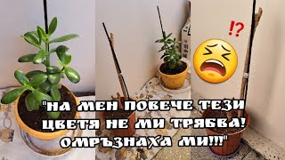 Съседка хвърля всички цветя защото и били омръзнали 😫👆🏻 [upl. by Sileray]