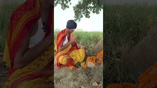 शिव चर्चा वाला वीडियो😃mangal singh yadav funny comedy shorts [upl. by Rimahs651]