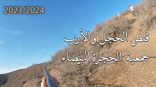 جديد الحجرة البيضاء قنص الحجل و الأرنب 2023 يوم 9 أكتوبر [upl. by Delwin]