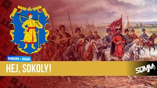 PolishUkrainian Melodies Hey Sokoly played on Bandura and Organ [upl. by Yul]