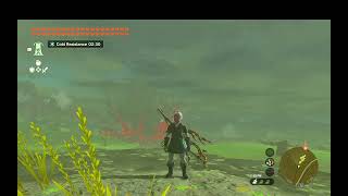 army of Constructs silver Moblin Bokoblin Destroyed nodamage [upl. by Nagad]