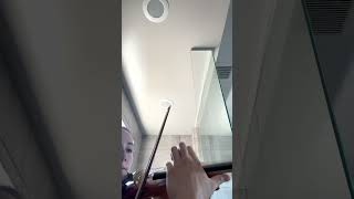 Dvorak Violin Concerto  Trying out my shower acoustics PART 7 shorts classicalmusic violin [upl. by Joanna]