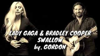 LADY GAGA BRADLEY COOPER  SWALLOW video lyrics [upl. by Yaluz]