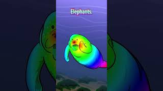 Manatee Is Related To Elephants shorts [upl. by Akerue]