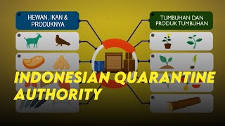 Indonesian Quarantine Authority in Motion Graphics [upl. by Joao]