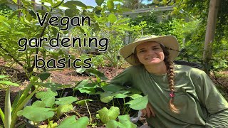 Vegan gardening basics  Florida [upl. by Belita]