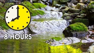 8 hours Relaxing nature soundsBird songsWater sounds for healingmeditationcalmingsleeping aid [upl. by Balough47]