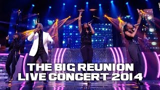 ETERNAL FT BEBE WINANS  I WANNA BE THE ONLY ONE THE BIG REUNION LIVE CONCERT 2014 [upl. by Gent]