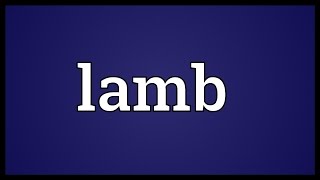 Lamb Meaning [upl. by Anaid]