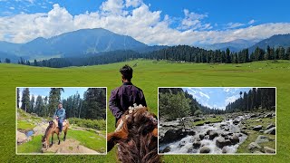 Doodhpathri Kashmir The Hidden Valley of Milk and Meadows  Srinagar to Doodhpathri  Offbeat Place [upl. by Azeel885]