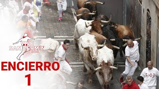 PRIMER ENCIERRO de San Fermín 2023  Toros de La Palmosilla [upl. by Bone]