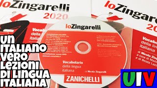 IL MIO NUOVO ZINGARELLI 2020 E quotLE PAROLE MORIBONDEquot [upl. by Kendra]