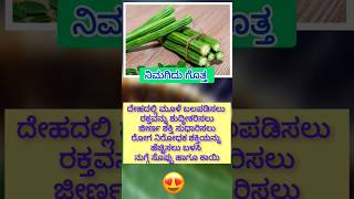 drumstick uses Kannada amazingfactsinkannada food amazingfacts interestingfactsinkannadafood [upl. by Notac]