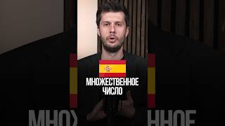 Множественное число существительных и прилагательных в испанском [upl. by Shwalb]