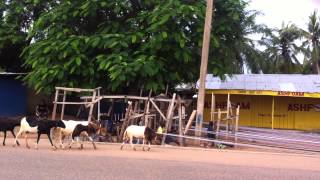 Kente weavingChild Labour in Upper west Region Ghana [upl. by Nairehs]