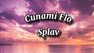 Cunami Flo  Splav Lyrics tekst [upl. by Ilse]