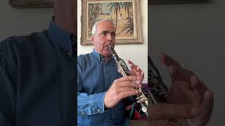 Ornement 1 Clarinet B♭ Selmer lygeros music clarinet shorts learn subscribe master [upl. by Peggir]