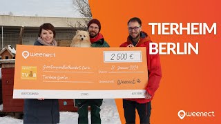 Tierheim Berlin Experts [upl. by Hayikaz109]