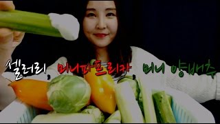 KOREAN한국어ASMR｜셀러리 미니 양배추 미니 파프리카 오이 채소 이팅사운드｜ Celery Mini Cabbage Mini Paprika Eating Sounds [upl. by Detta]