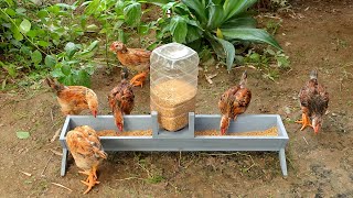 Unique chicken feeder from wood [upl. by Atin]