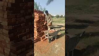 How to wheelbarrow work youtubeshort soilconservation construction [upl. by Herra316]