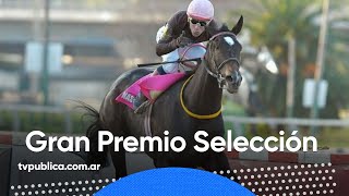 Turf Gran Premio Selección en el Hipódromo de Palermo [upl. by Syck5]