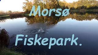 Morsø Fiskepark  Impulsiv Søndagstur [upl. by Abraham662]