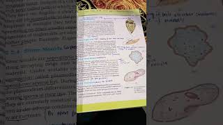 💯🤩Biological Classifications🤩 class11 shortsviral notes remix [upl. by Novyak173]