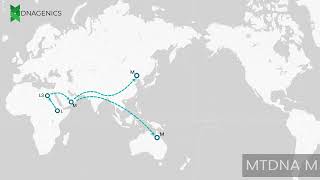 MTDNA M  DNAGENICS [upl. by Petronella]