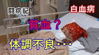 【白血病】貧血ですか？それとも？【闘病記】入院２０日目～２２日目 [upl. by Atteuqehs]