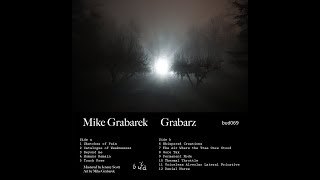 Mike Grabarek  The Air Where The Tree Once Stood Official Video [upl. by Aruon]