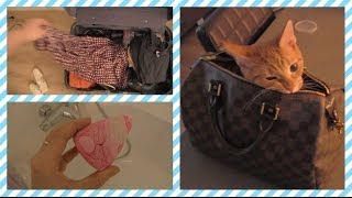 Beautygloss vlog 23 ❤ afronden inpakken bubbelbad [upl. by Cj]