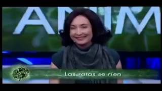 LA IMPORTANCIA DE LA RISA  ELSA PUNSET el hormiguero [upl. by Aryn377]