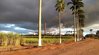 Vídeo Institucional Usina Coagro Unidade Sapucaia CamposRJ [upl. by Ofella]