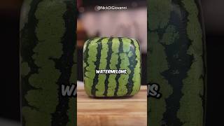 These Square Watermelons Are Expensive shorts farming [upl. by Adidnere]