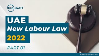 New UAE Labour Law Explained  UAE Introduced New Labour Law Effective From February 2022 ep01 [upl. by Eustasius]