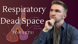 Respiratory Dead Space in Veterinary Medicine [upl. by Henrieta]