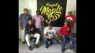 LA GUAYABITA con el GRUPO quotPROYECTOS MAPLEquotDE HUEJUTLA DE REYES HIDALGO [upl. by Ahsotan]