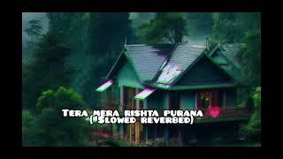 Tera mera rishta purana 💗  slowed reverbed [upl. by Tamas]