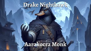 Drake Nighthawk [upl. by Ilram]