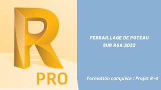 S11 Ferraillage de poteau sur Robot Analysis Structure [upl. by Aubreir]