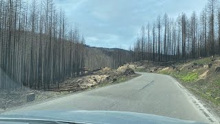 Molalla River Corridor BLM Site Visit April 30 2021 [upl. by Inanak329]