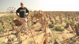 Recycling Water in the Negev Desert Israel [upl. by Darb441]