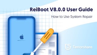 ReiBoot User Guide How to Use iOS System Repair  2021 Update [upl. by Ferd]