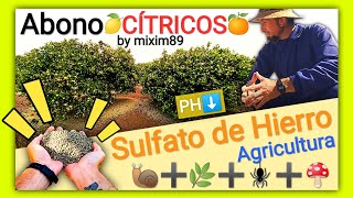 Abonado en Cítricos 5 Usos del SULFATO de HIERRO en Agricultura Naranjos y Limoneros by mixim89 [upl. by Drallim242]