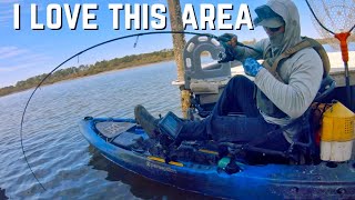 Having a Blast and Catching Big Fish  Sheepshead Fishing [upl. by Agler]