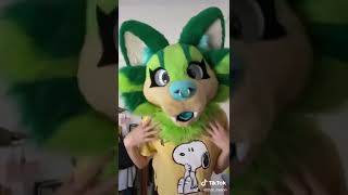 Furry cringe tiktok compilation 🤢 [upl. by Edals]