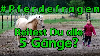 Pferdefragen Reitest Du alle 5 Gangarten [upl. by Zetniuq]