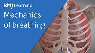 Basics of ventilation Mechanics of breathing  BMJ Learning [upl. by Ezmeralda]